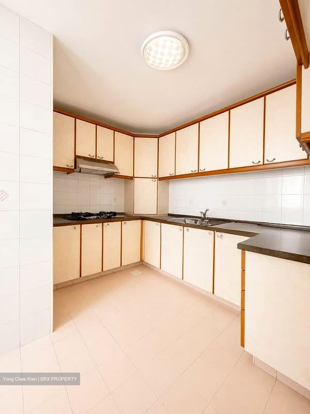 Fortune Park (D19), Condominium #556652101